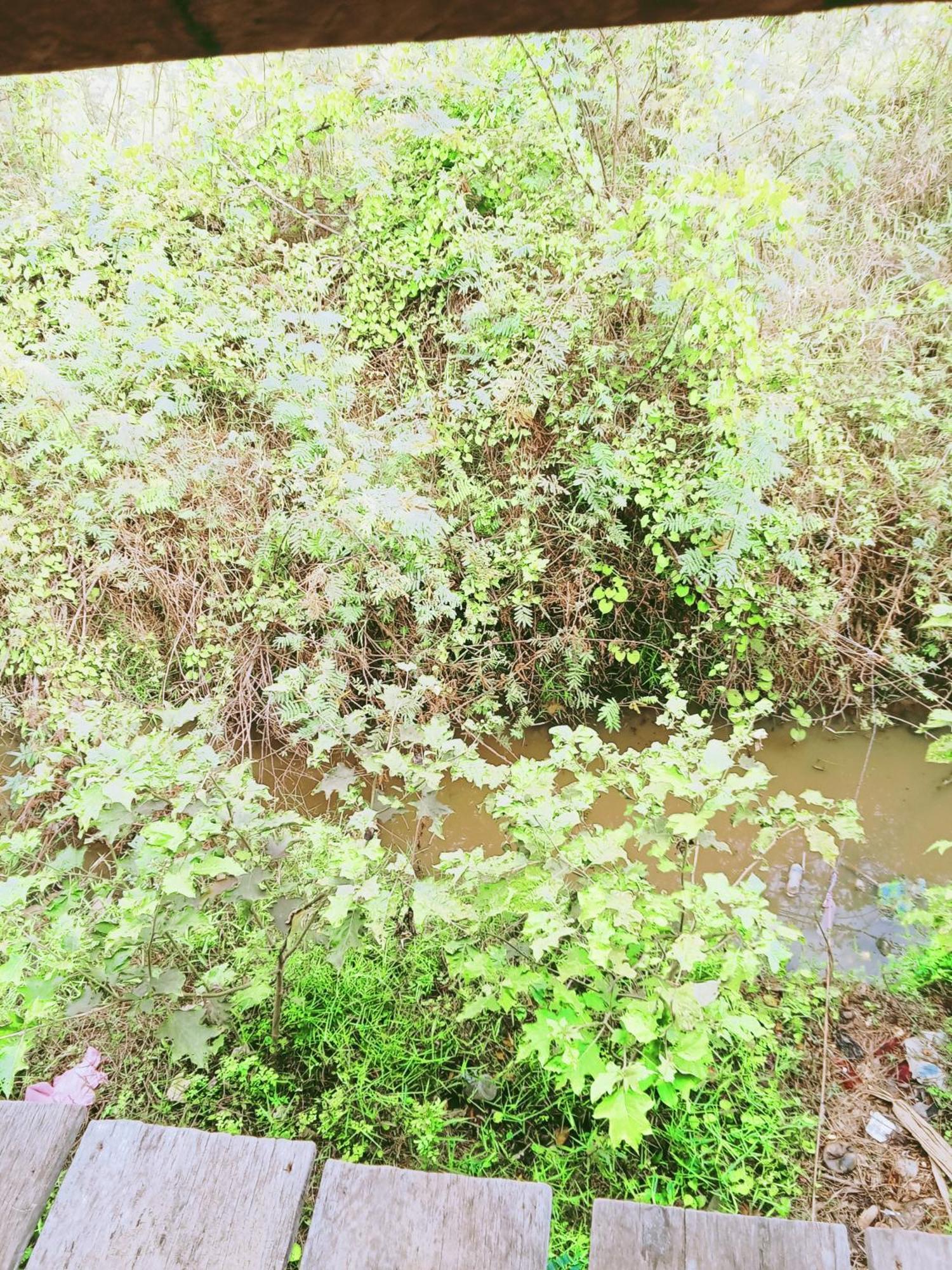 Chamkachuk Home Siem Reap Luaran gambar